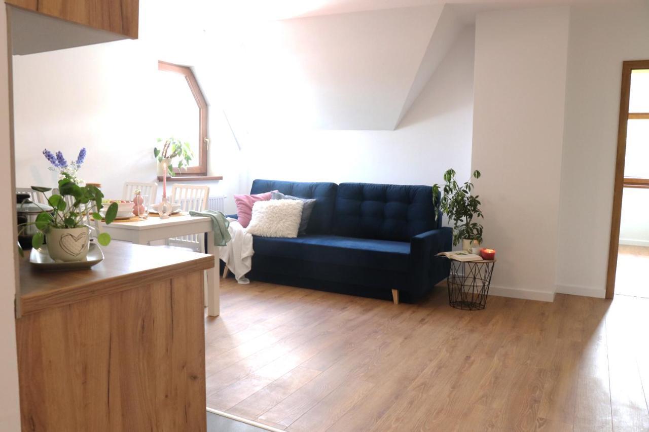 Apartamenty Pardalowka 50 Zakopane Ngoại thất bức ảnh